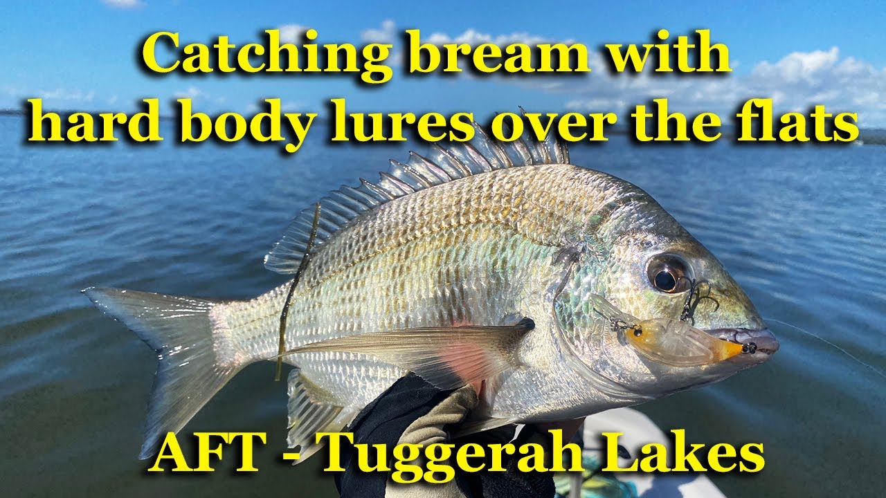 Catching bream with Hard Body Lures over the flats