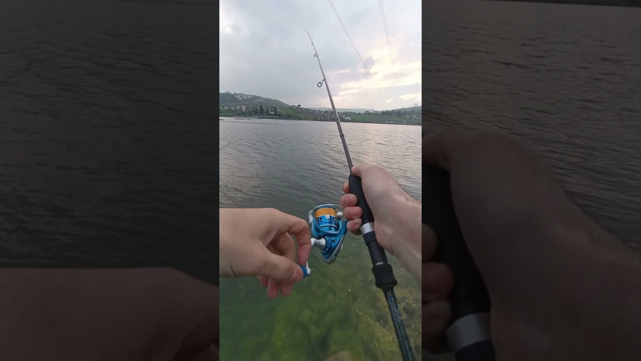 ⭐ Lrf disiplini ile  Perch levrek avı 🐟🎣💫💯🐟🎣💎 micro takımlar, Keyifli aksiyonlar