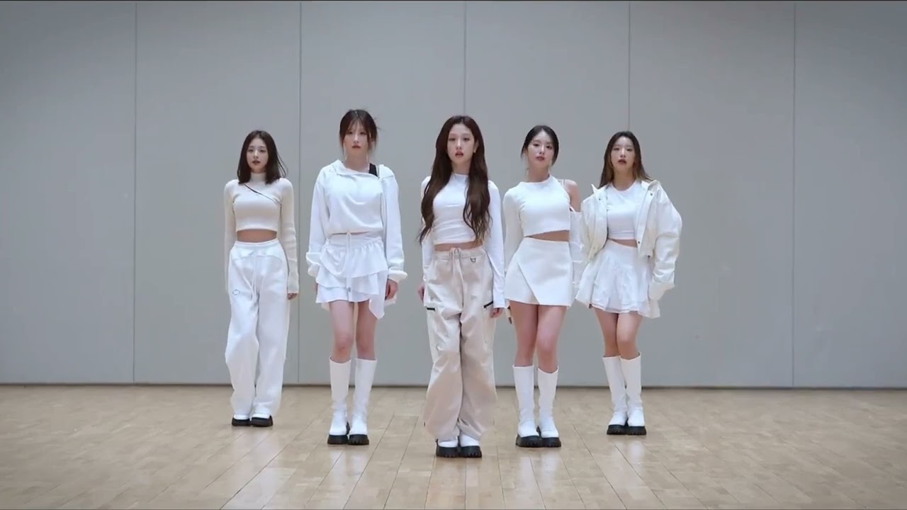 [FROMIS_9 - DM + REWIND] dance practice mirrored