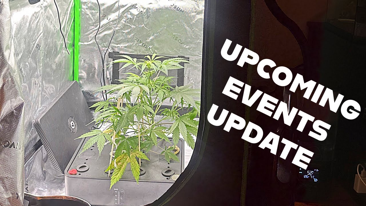 Grow Tent Setup