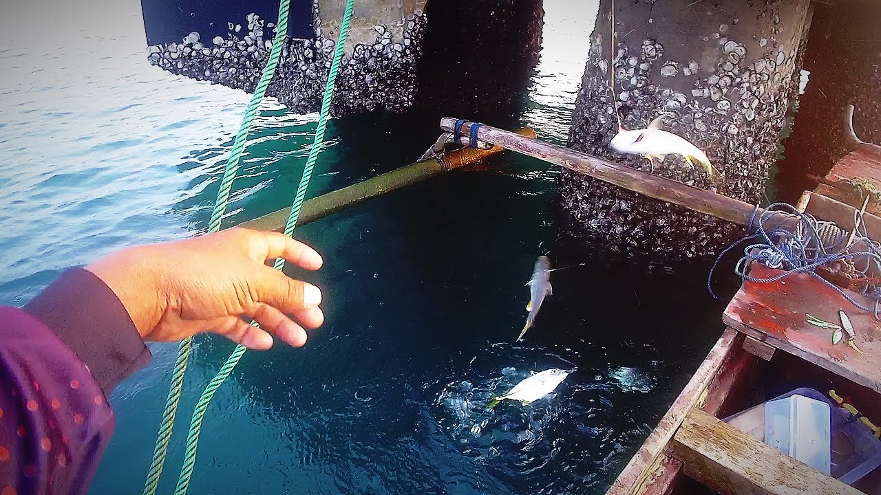 Spot mancing pinggiran laut Lampung 🔴 Dermaga Bensam