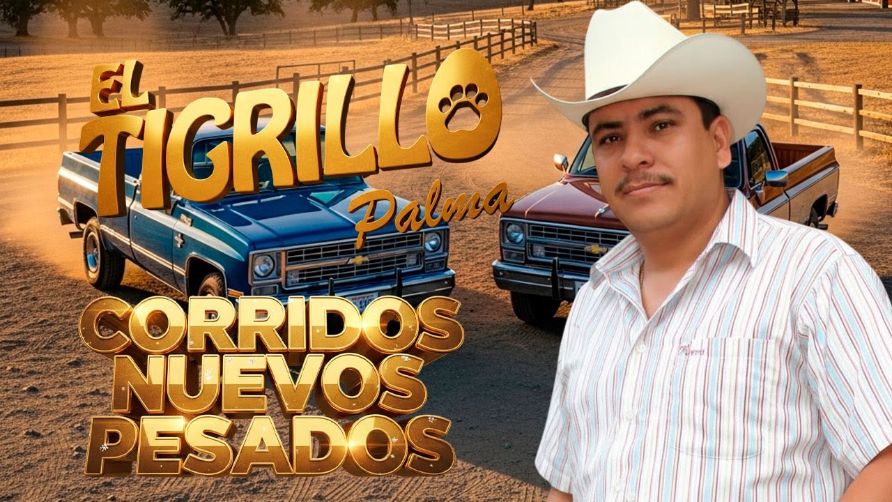 🔥 Los Corridos Más Bravos de El Tigrillo Palma | Pura Parranda 🔥