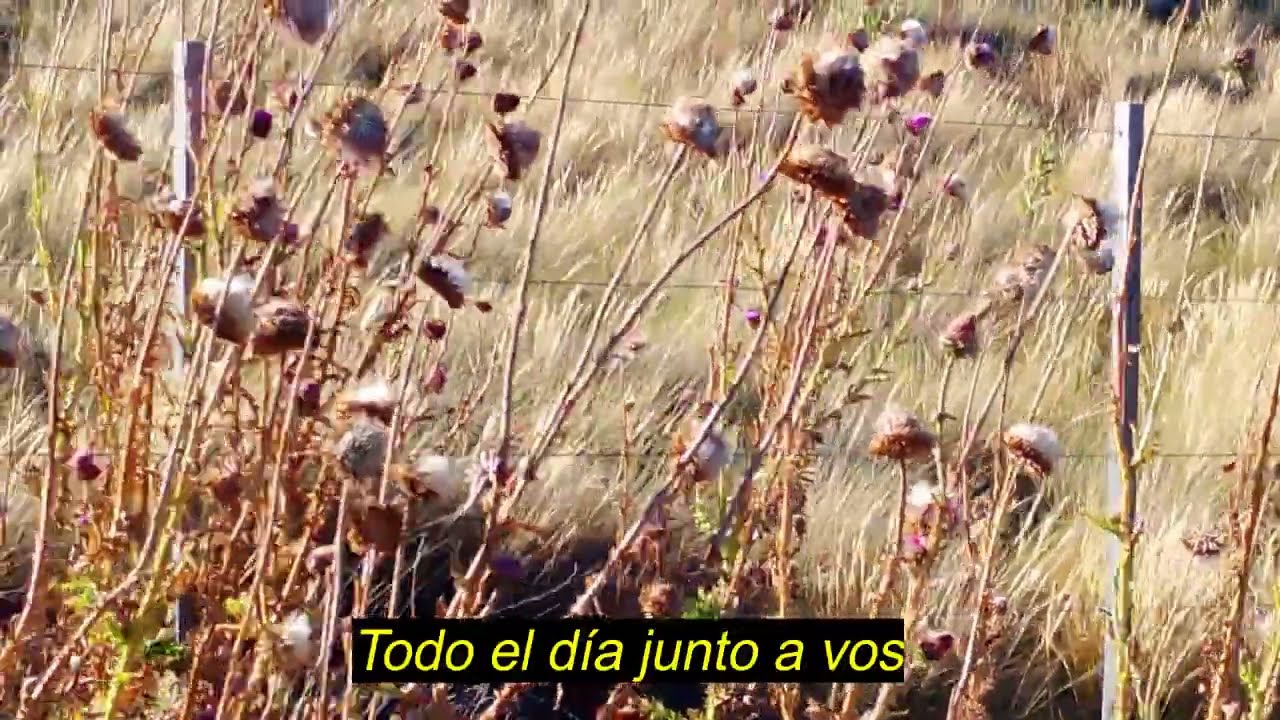 GILANSTEIN - Junto a Vos (Video Oficial)