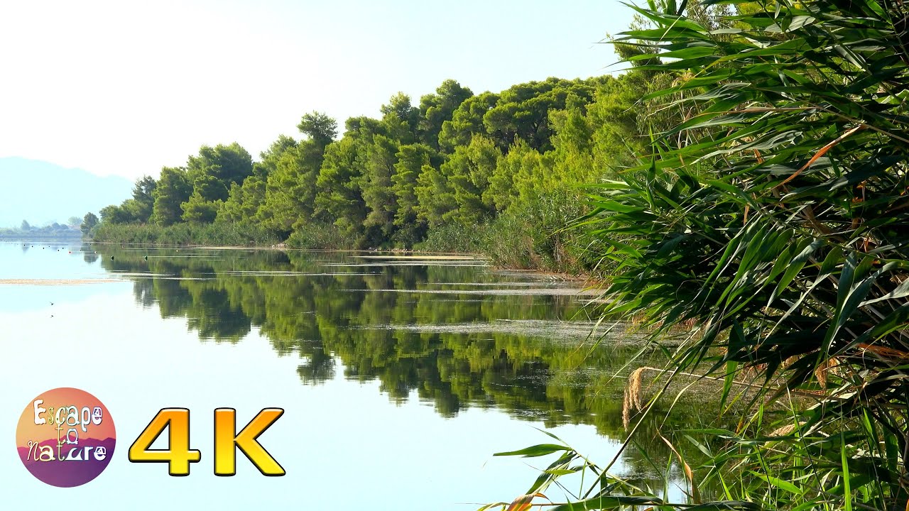 4K Peaceful lake sounds - Relaxing birdsong and cricket sound - Λίμνη Καϊάφα Πελοπόννησος
