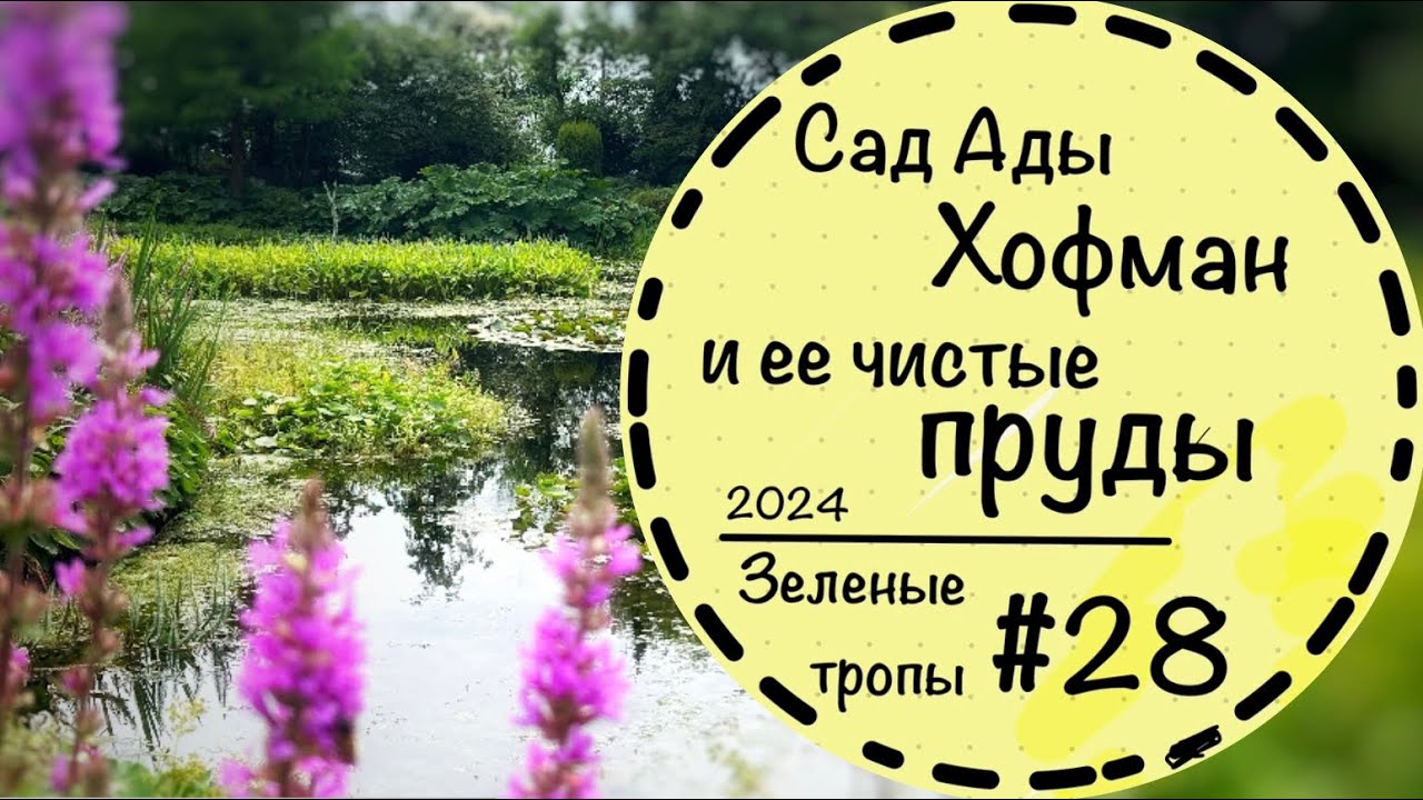 #28☘️Сад Ады Хофман☘️Как очистить пруд? ☘️ 30 садовых комнат и 50 водных элементов☘️Сад в Голландии