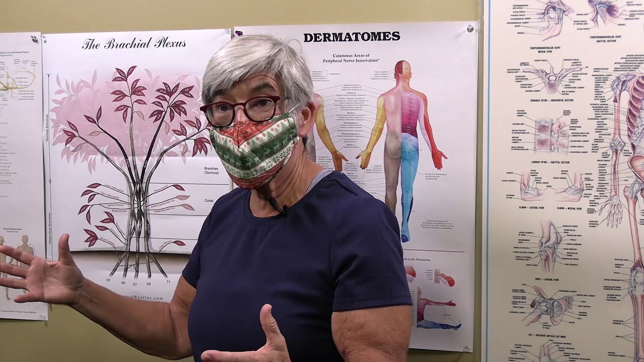 National Holistic Institute | Advanced Neuromuscular Therapy Program | Overview