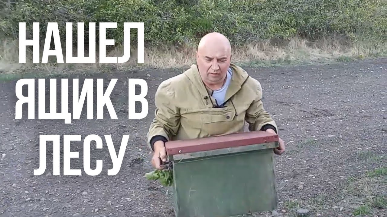 Поехали в Лес за Ловушками для Пчел нашли Ящик
