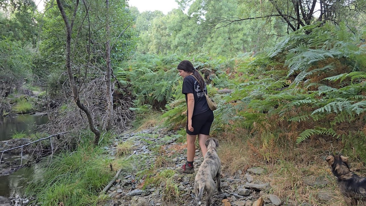 Me voy a explorar el río con los perros y mirar lo que me encuentro