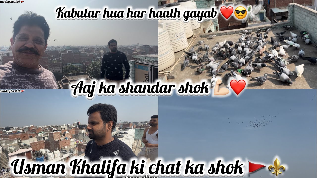 Kabutar hua har haath gayab 🕊️aaj ka shandaar shok 🦅Usman Khalifa ki chat ka shok 💪🏻Saturday ka shok