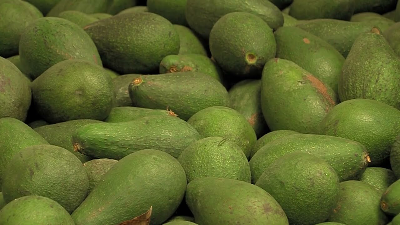 Emergency food assistance ended, but San Diego&rsquo;s hunger crisis isn&rsquo;t over