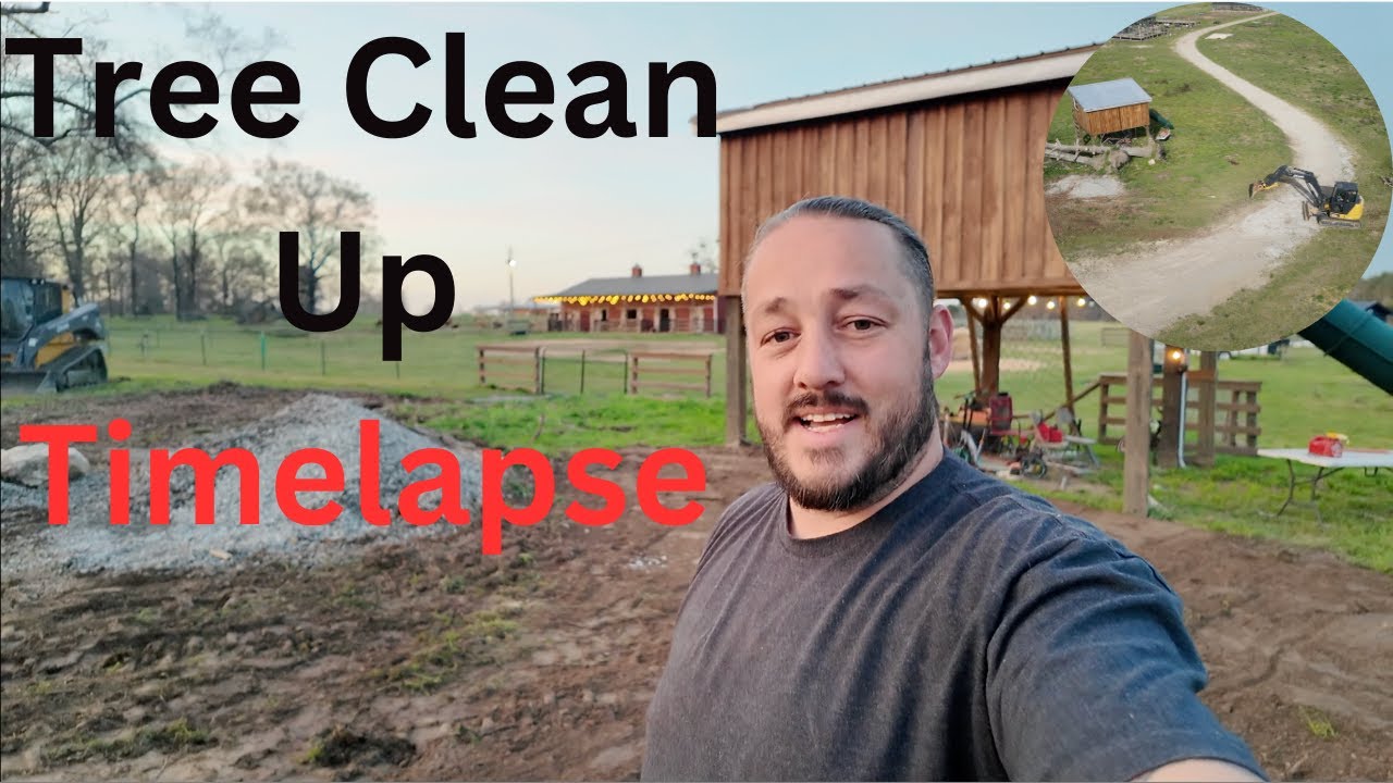 Tree Clean Up Timelapse