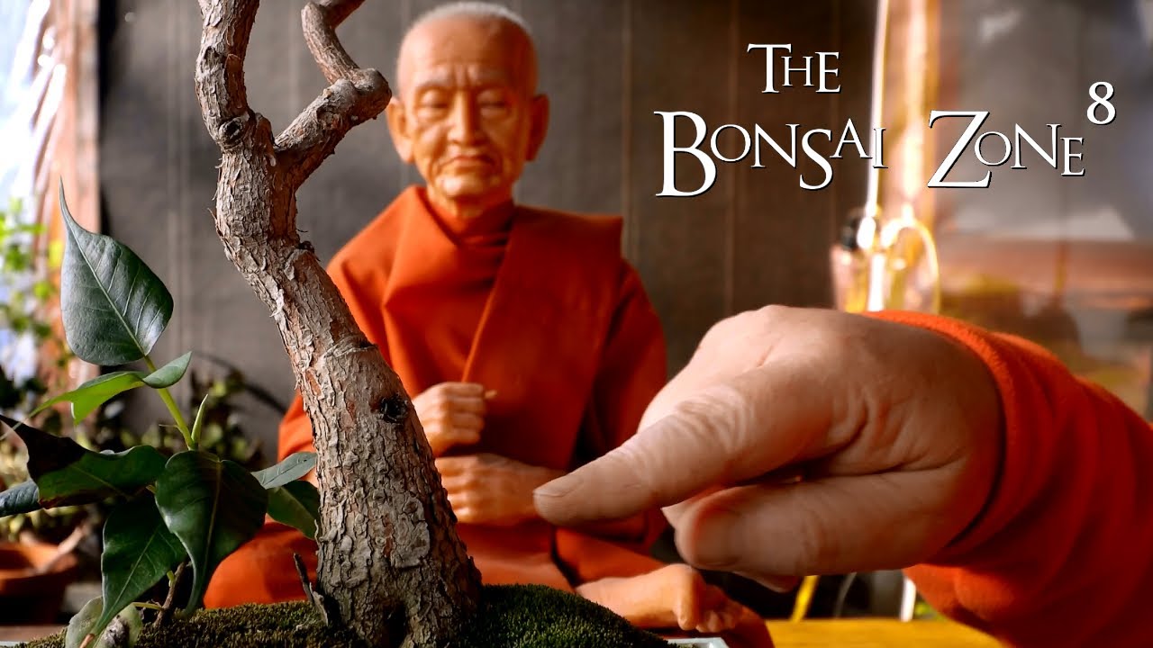 Pruning My Ficus religiosa Bonsai, The Bonsai Zone, Jan 2021