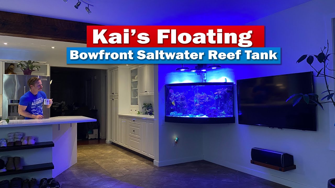 Kai's Floating Bowfront Saltwater Reef Aquarium Tank Tour!