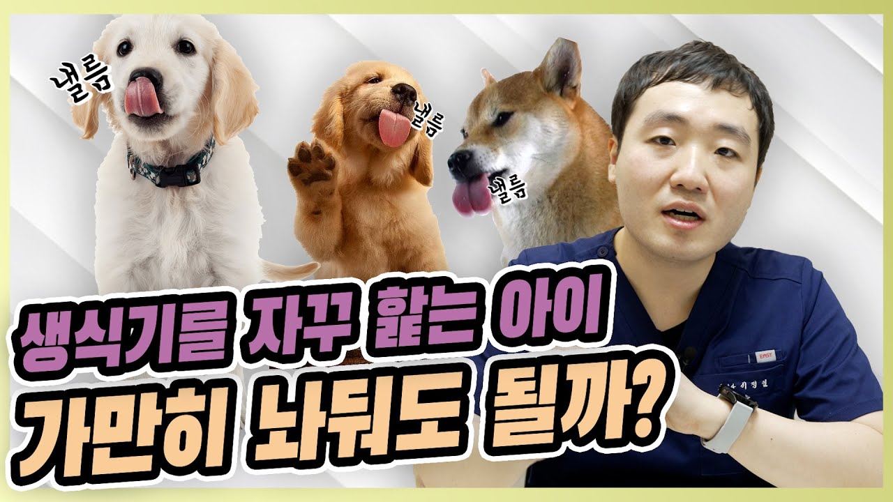 생식기를 자꾸 핥는 이유는? [우리동네수의사]
