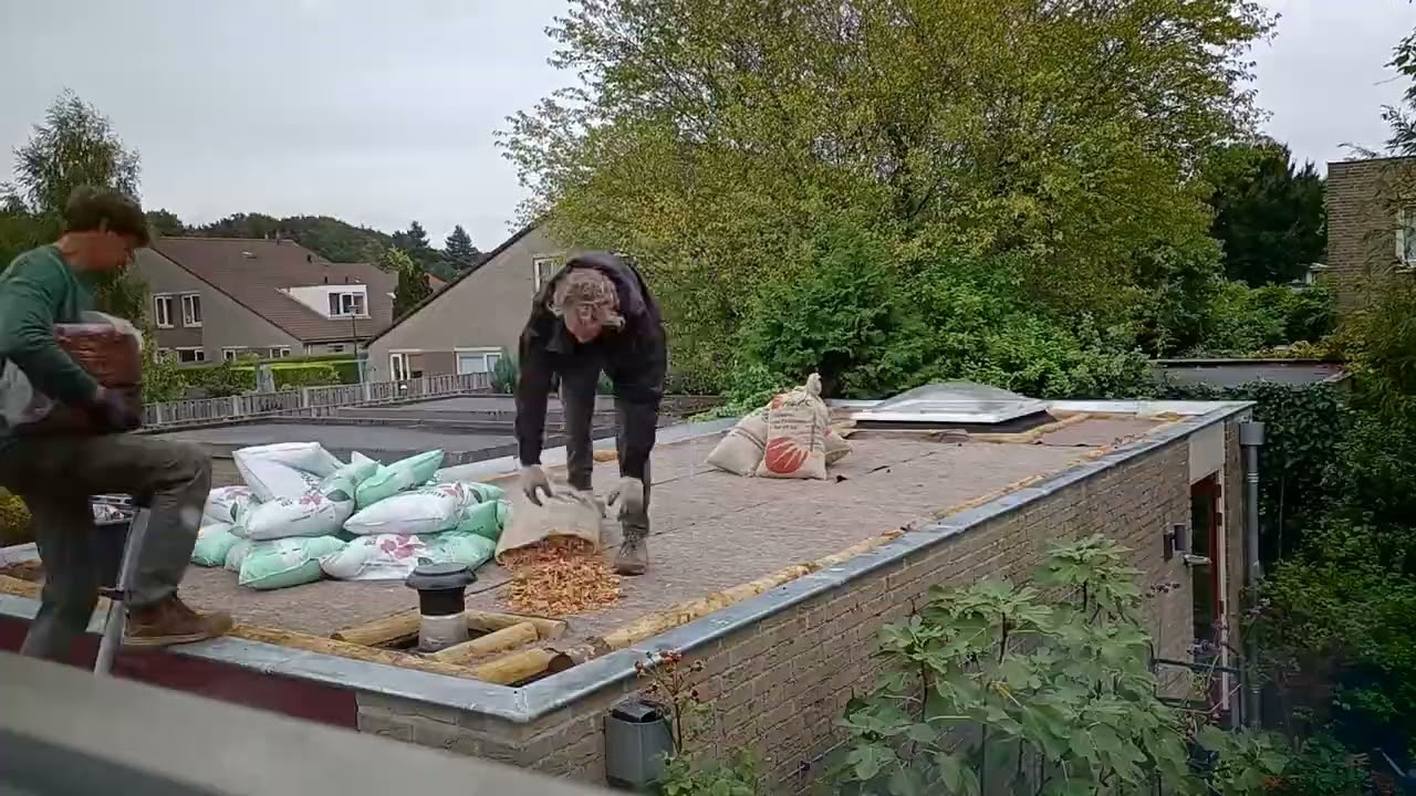 Up to Earth-daktuin timelapse