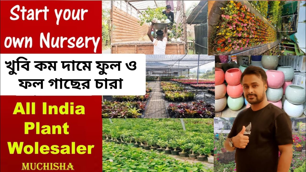 Plant Nursery | Muchisha | Kolkata Cheapest plant market | Wholesale plant market 2026 | Tour guide