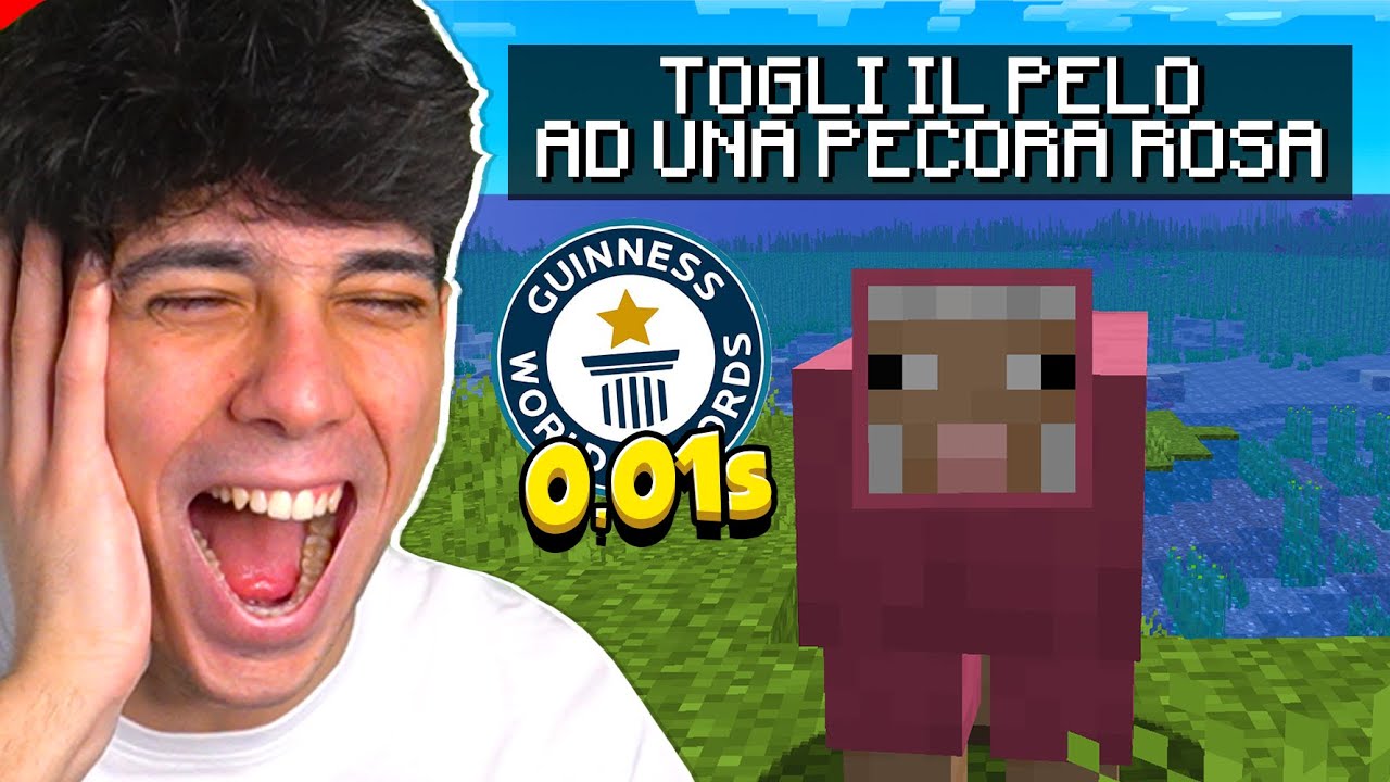 TUTTI I RECORD MONDIALI DI MINECRAFT *DIVERTENTISSIMI*