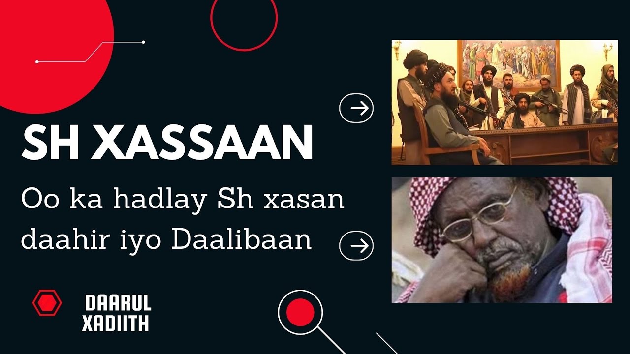 Sh Xassaan oo ka hadlay daalibaan & Wixii Bush iyo Sh xasan daahir Dhaxmaray
