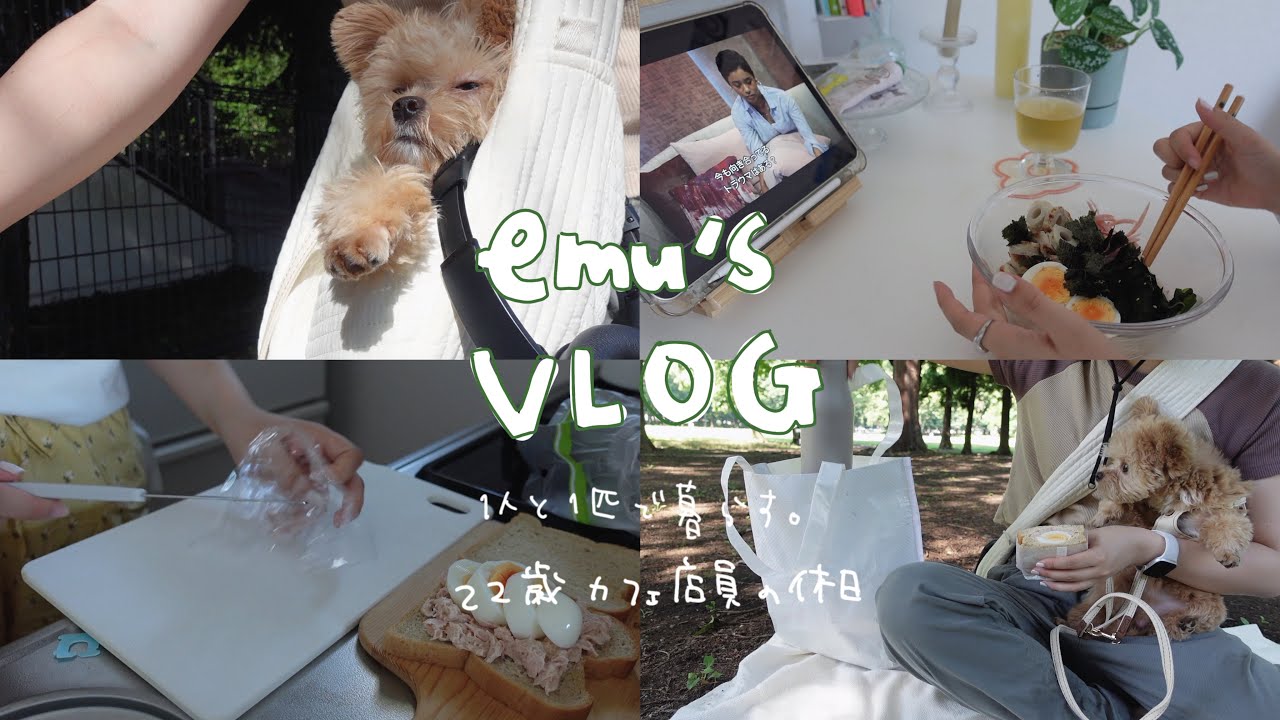 \VLOG/チワプーが相棒になりました🐶22歳ひとり暮らし.早起きして朝ピク🚲🥪とうふそうめんのレシピ