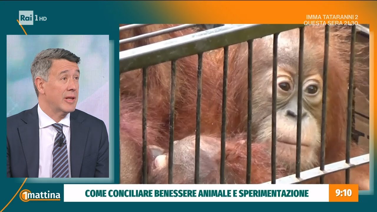La sperimentazione sugli animali - Unomattina - 28/03/2023