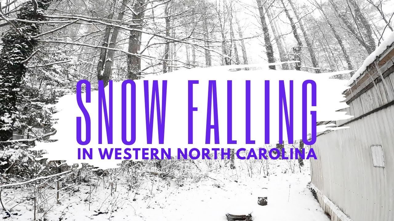 Snow Falling in Western North Carolina ~ 1 Hour Zen Space ~ Winter Vibes