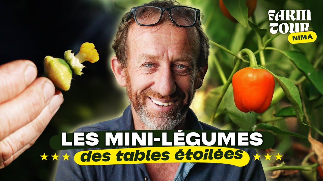 La microferme de la haute gastronomie