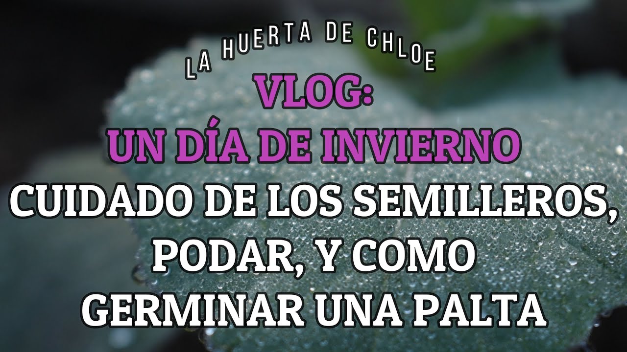 VLOG DE HUERTA:  UN D&Iacute;A DE INVIERNO