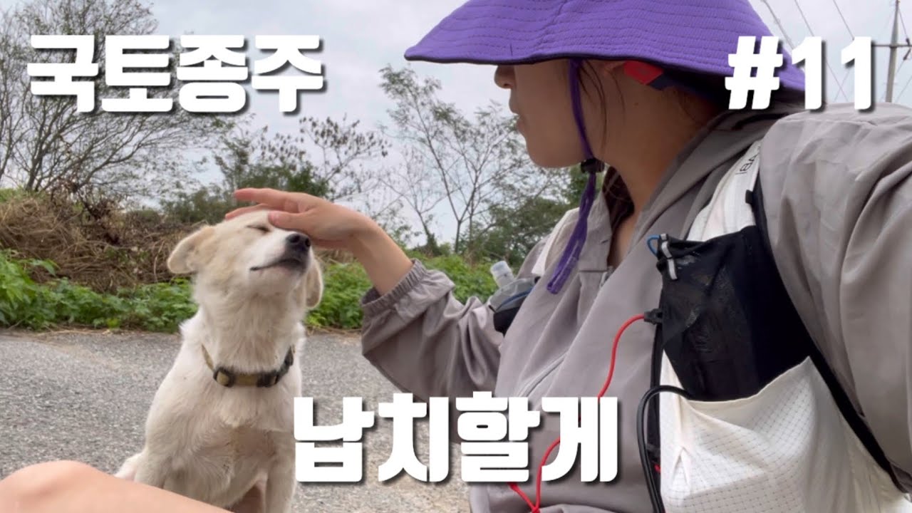 드디어 내일이면 부산이다! ㅣ 🐕🐂 귀요미 동물들 만난날 - 11일차 