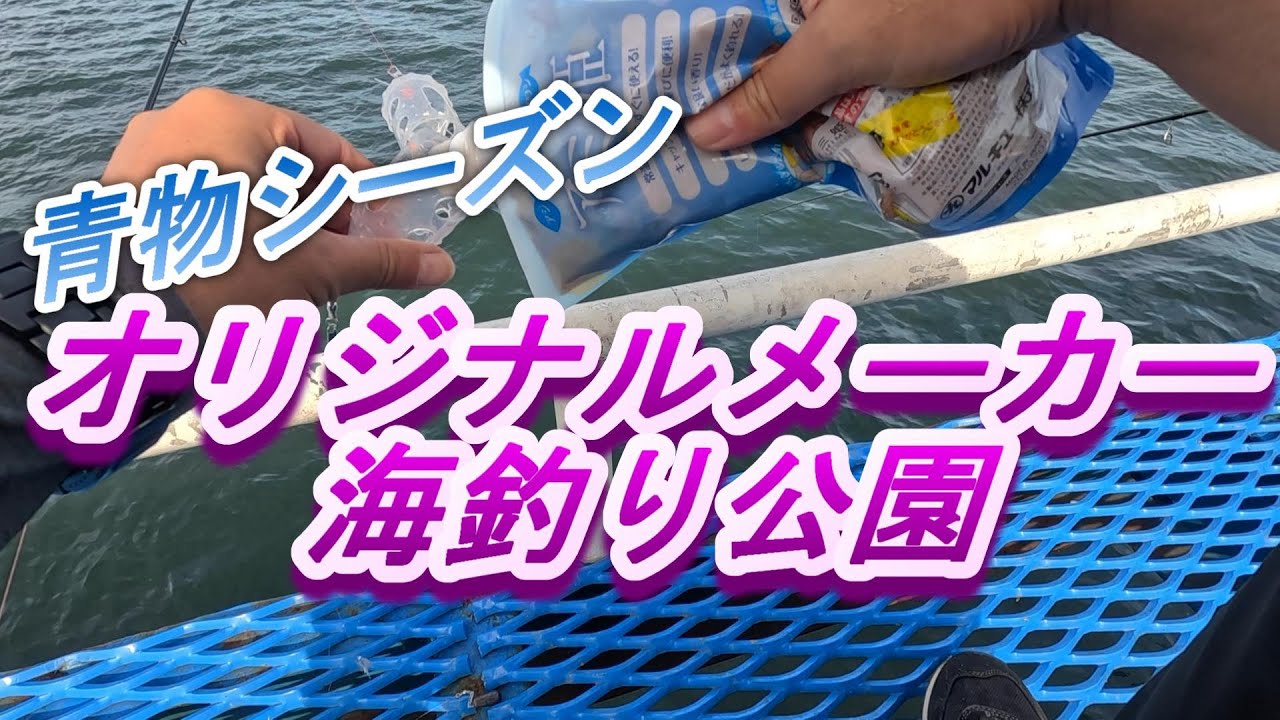 青物シーズン【オリジナルメーカー海釣り公園】市原