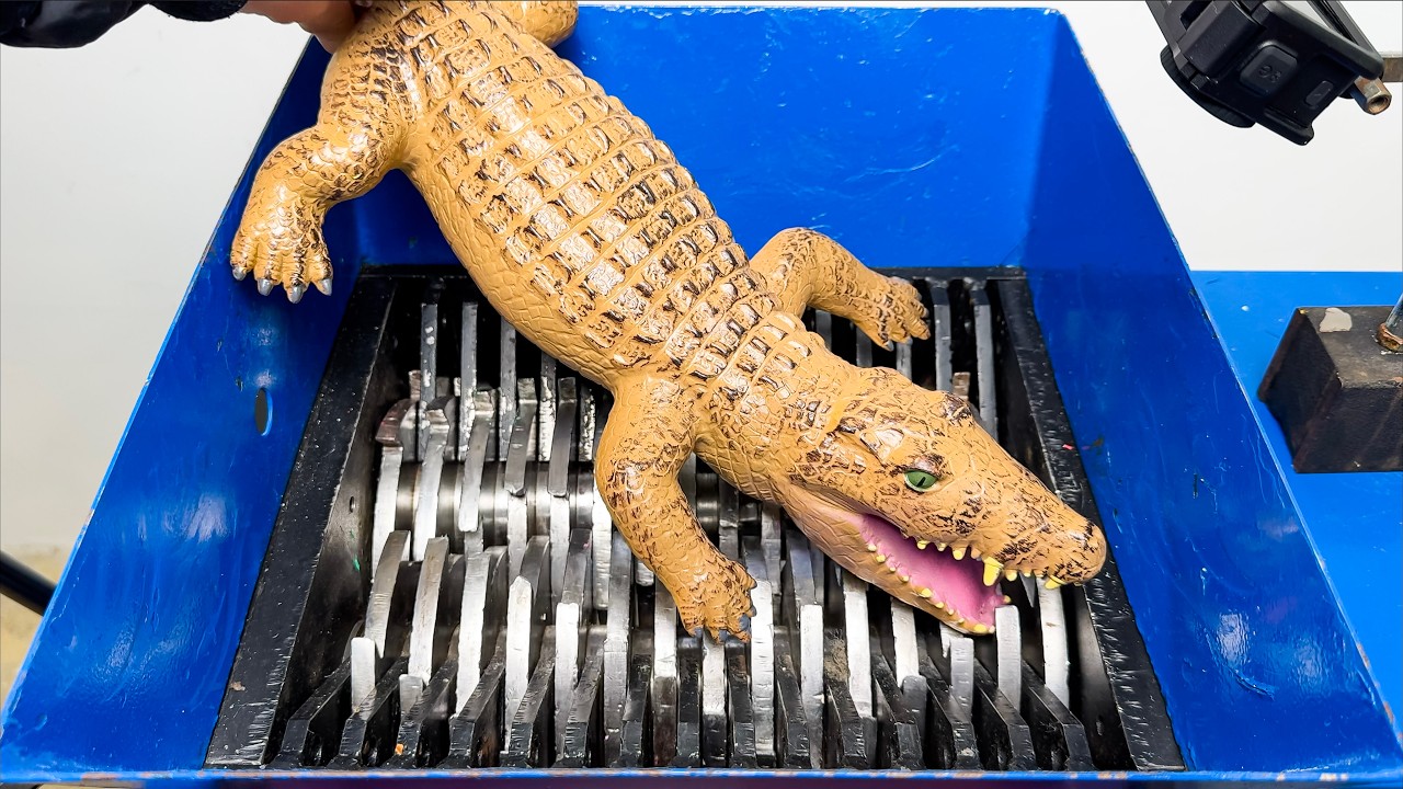 Industrial Shredder vs Crocodile Toy