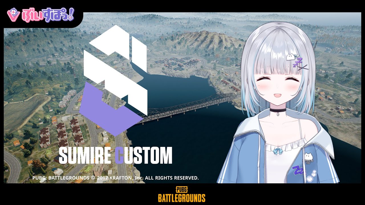 【#SMRCUSTOM 】SUMIRE CUSTOM：PUBG 神視点！ﾄﾞﾘｬ【 ぶいすぽ  / 花芽すみれ 】