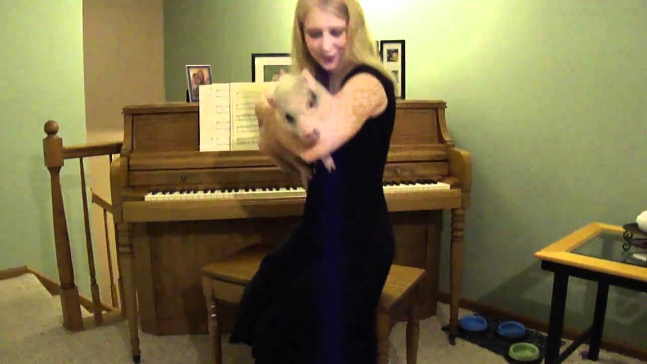 Hamlet the Mini Pig - As a Musical Instrument