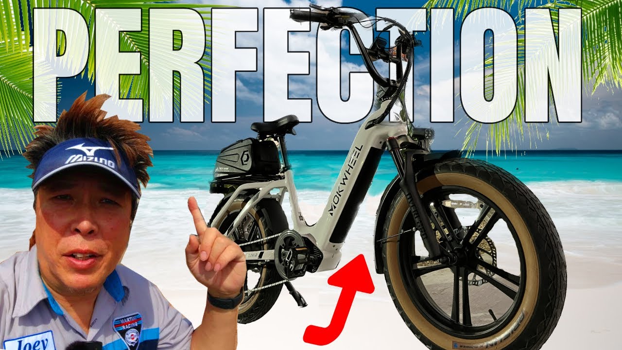 My Favrite E-Bike! LOOK HERE at the MOKWHEEL SCORIA