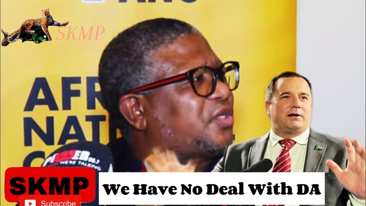 Fikile Mbalula, 
