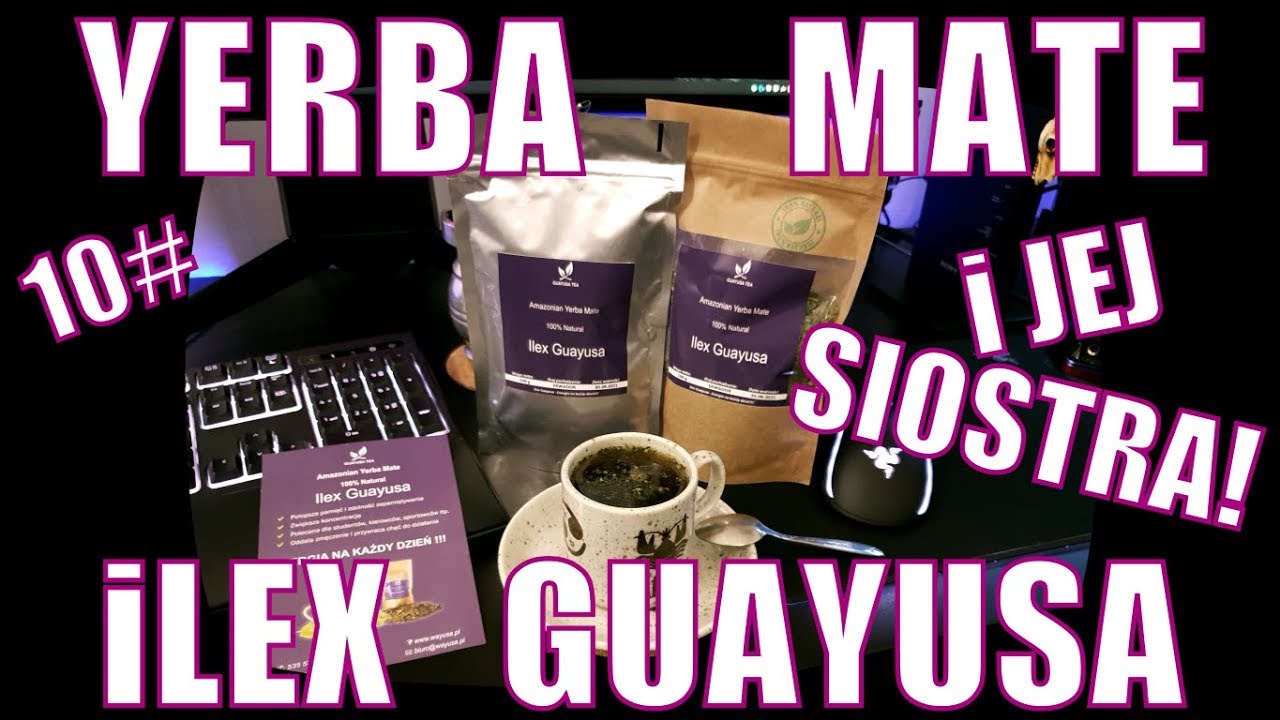 Ilex Guayusa - Yerba Mate jej Siostrą :)