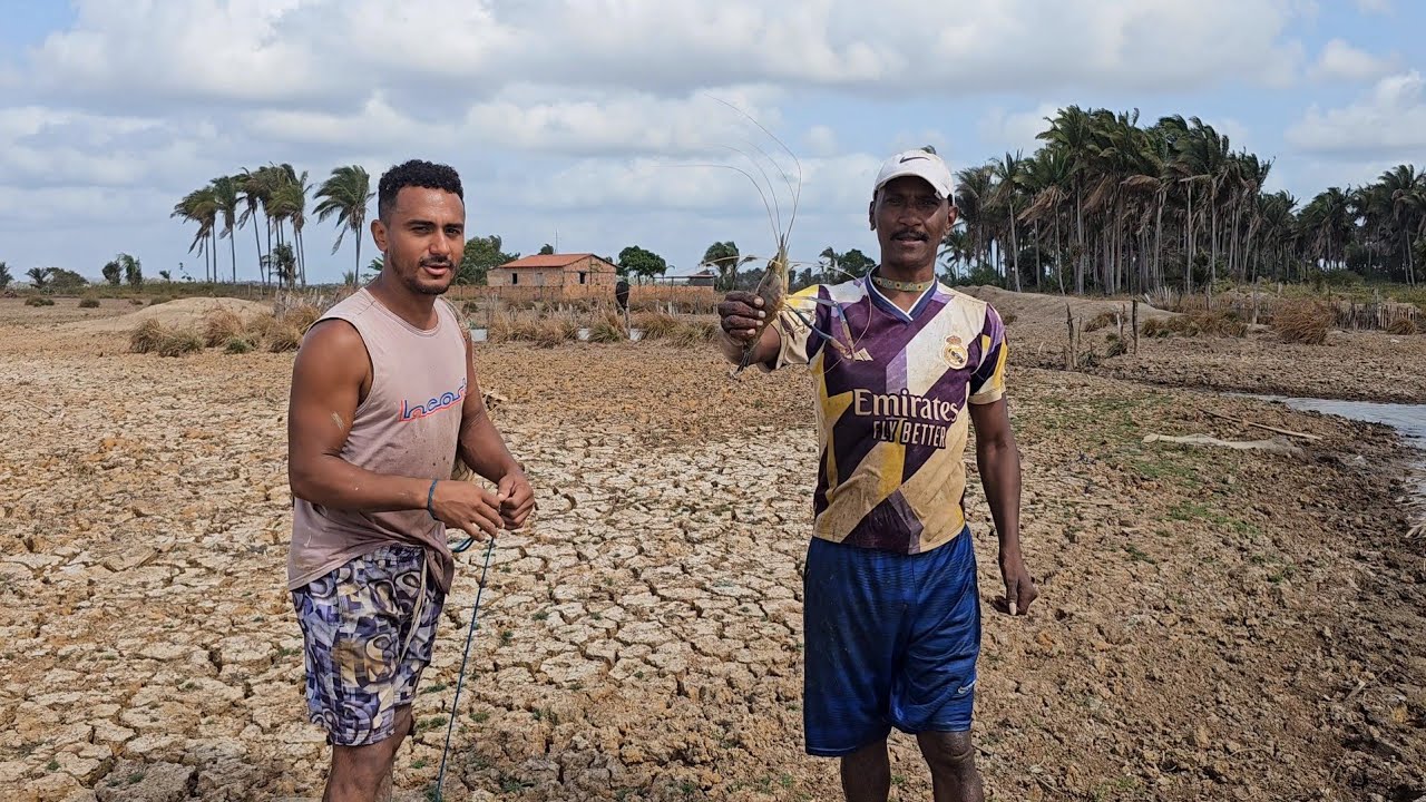 Fui na pescaria em busca dos camarões enorme que estão pegando aqui no campo 