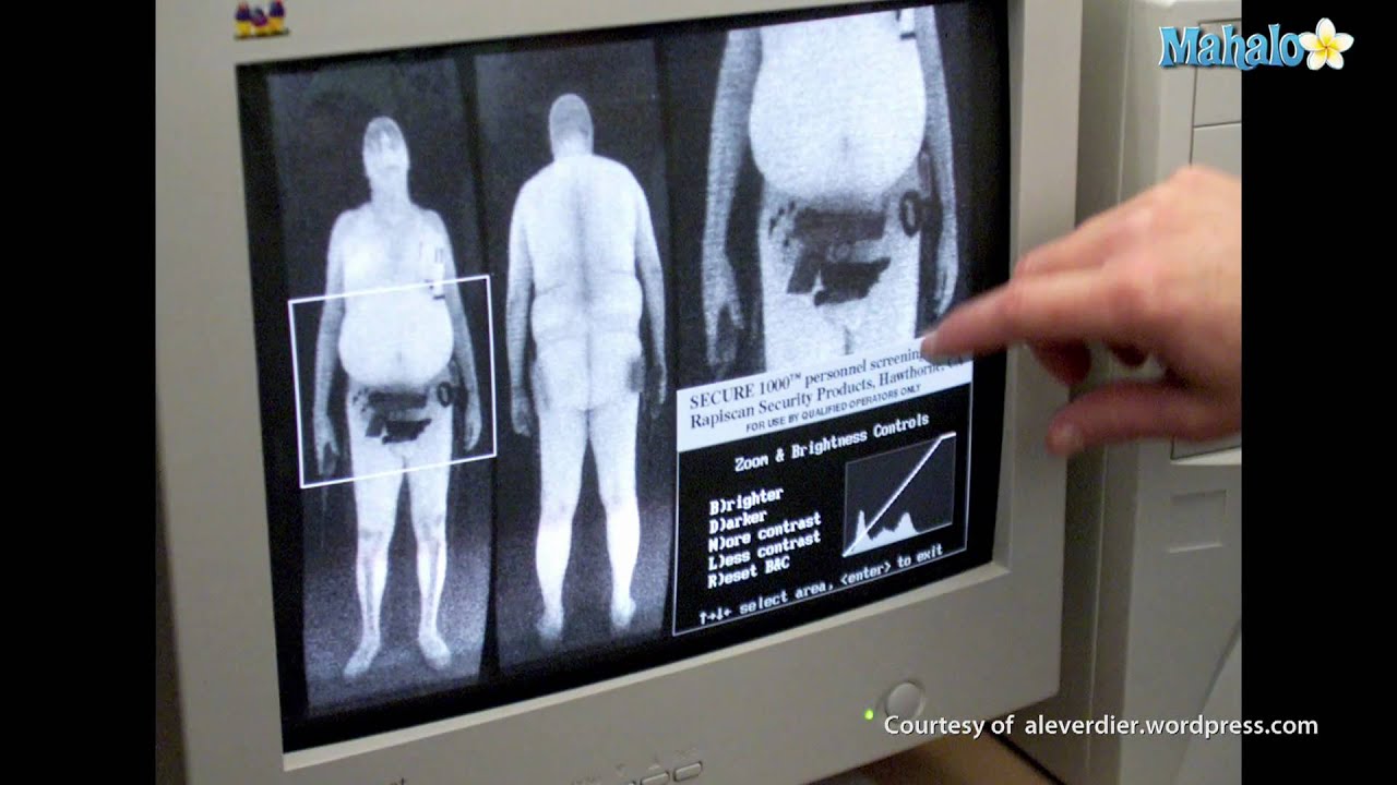 Full Body Scanner Images