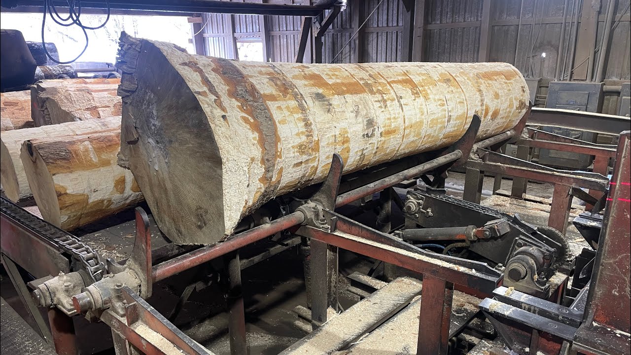 Saw-Milling a Beautiful 26 Inch Diameter Hard Maple Log!! #134