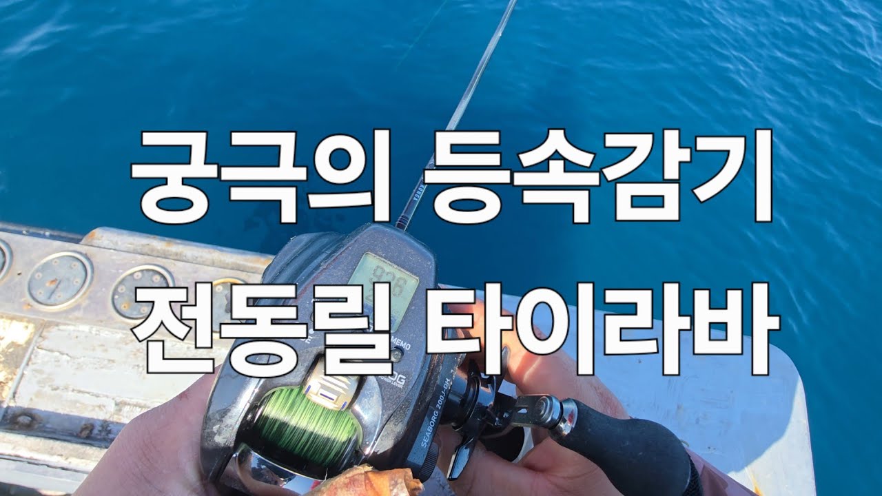 전동릴 참돔 타이라바 낚시방법 