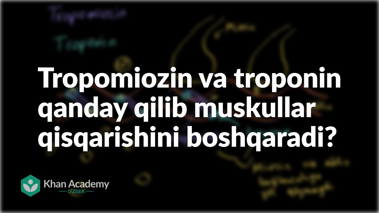 Tropomiozin va troponin qanday qilib muskullar qisqarishini boshqaradi? | Biologiya