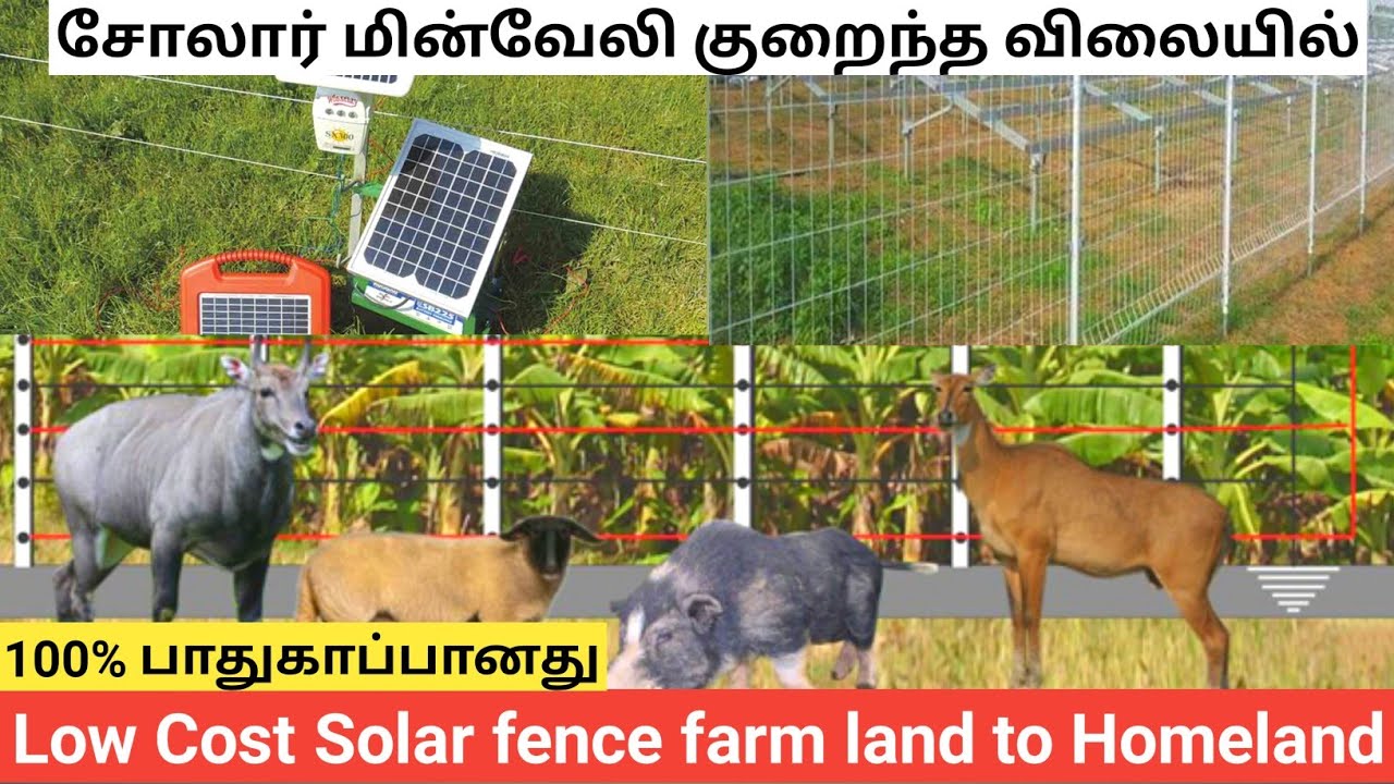சோலார் மின்வேலி கம்பி வேலியை விட குறைந்த விலையில் | 25 வருடம் உழைக்கும் | Low cost Solar fence