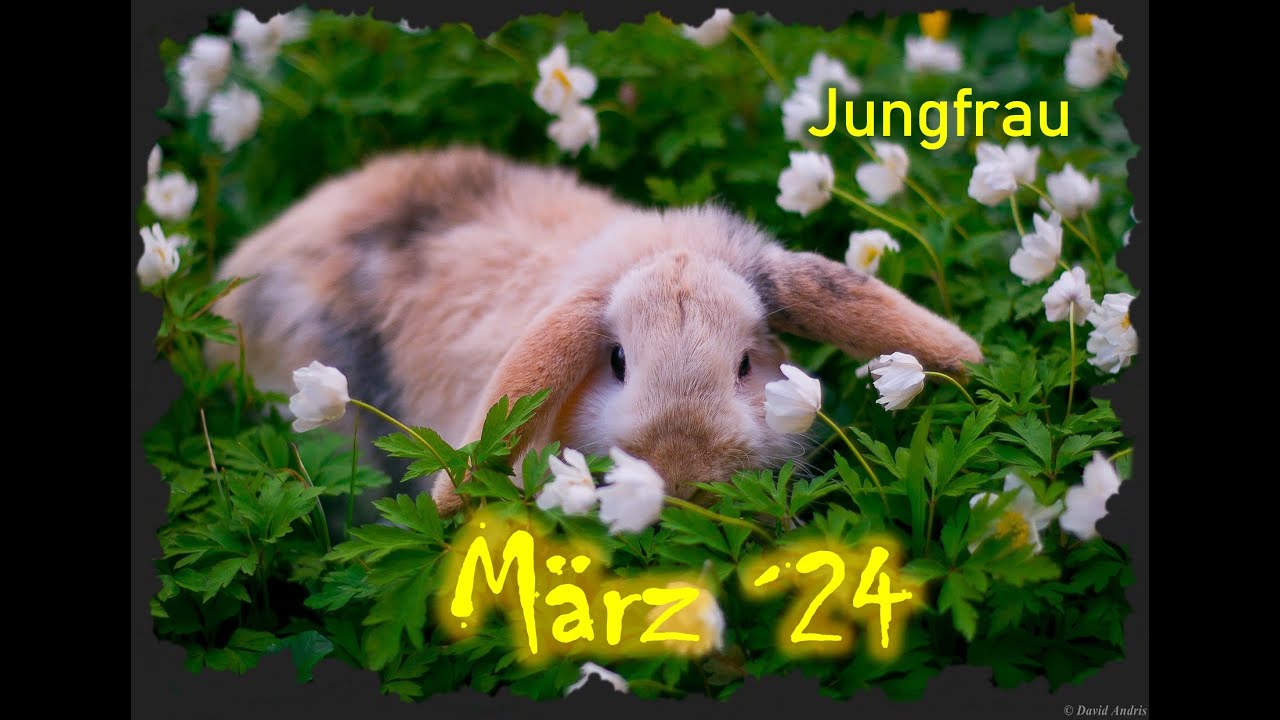 JUNGFRAU♍ - März ´24🌱