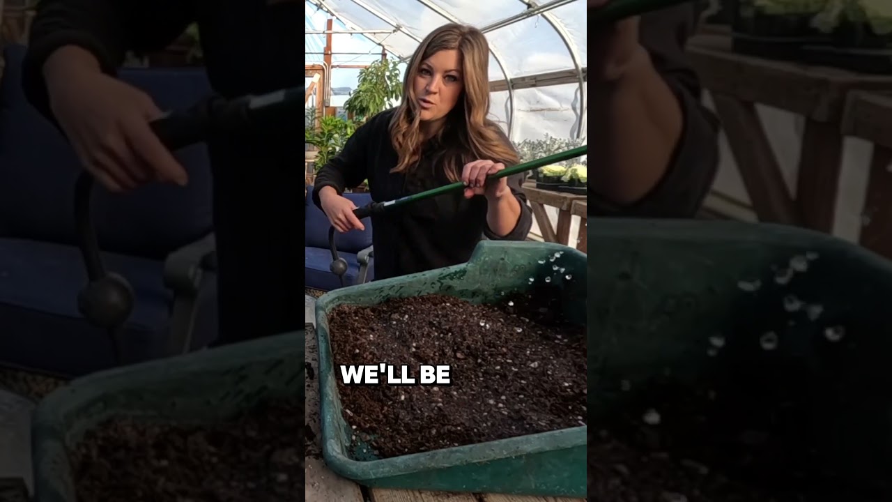 Winter Sowing Vs. Traditional Seed Starting + Potting Herbs! 🌿🌱🪴