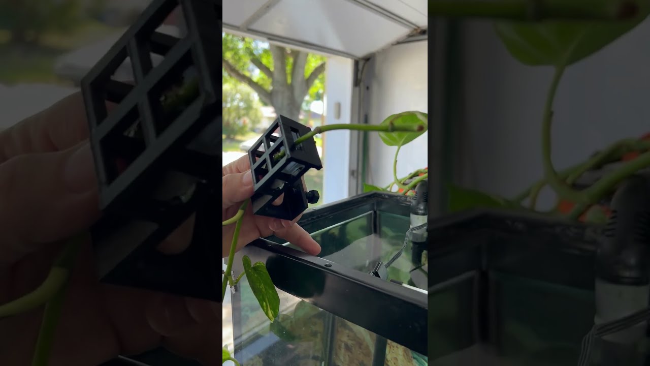 Pothos Holder - Quick Overview - Pothosholder.com
