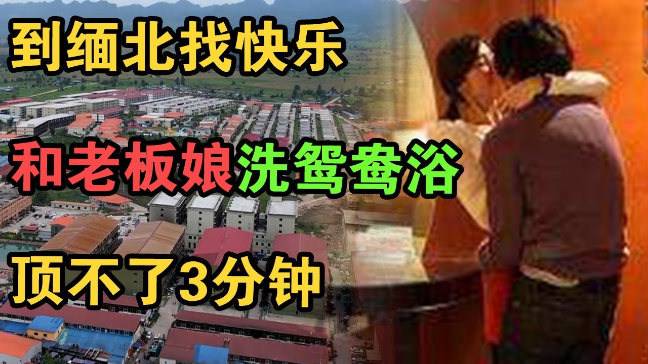 驻缅甸同事把他带到深山老林，说一起去玩点刺激的。| 中国刑事大案 | 电视剧 | 江湖李白 | X調查 | wayne調查
