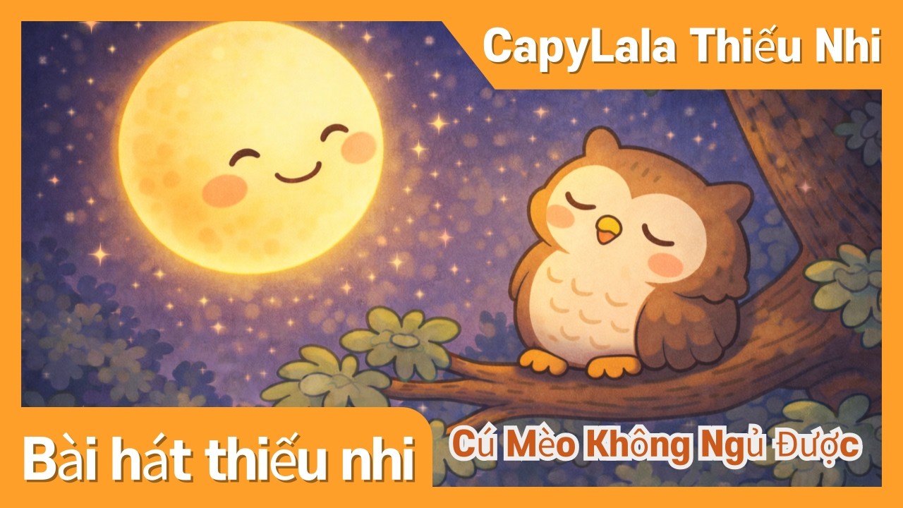 Cú Mèo Không Ngủ Được | Bài Hát Ru Ngủ Êm Dịu | CapyLala Thiếu Nhi