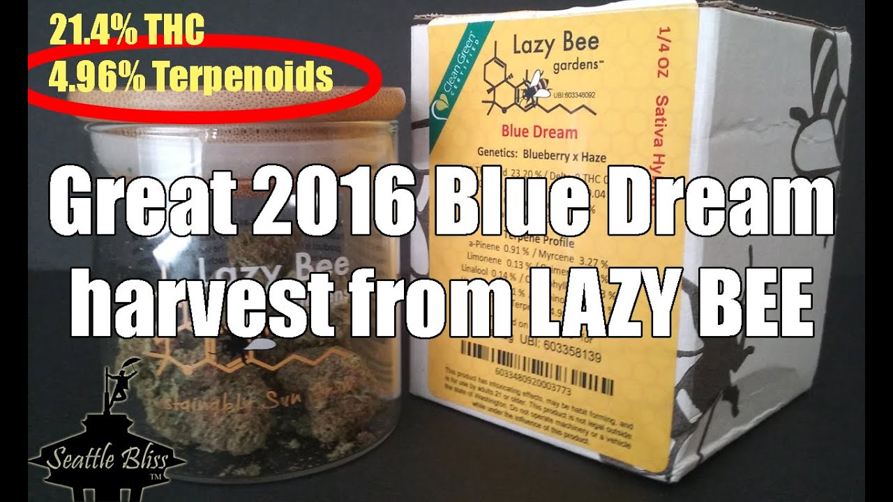 Blue Dream by Lazy Bee marijuana product review