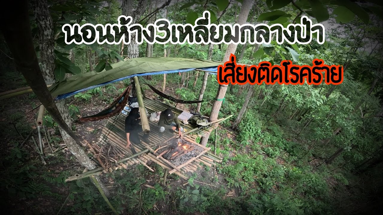 นอนห้าง3เหลี่ยมกลางป่าบนยอดเขาที่ไร้ความวุ่นวาย บรรยากาศเงียบสงบ