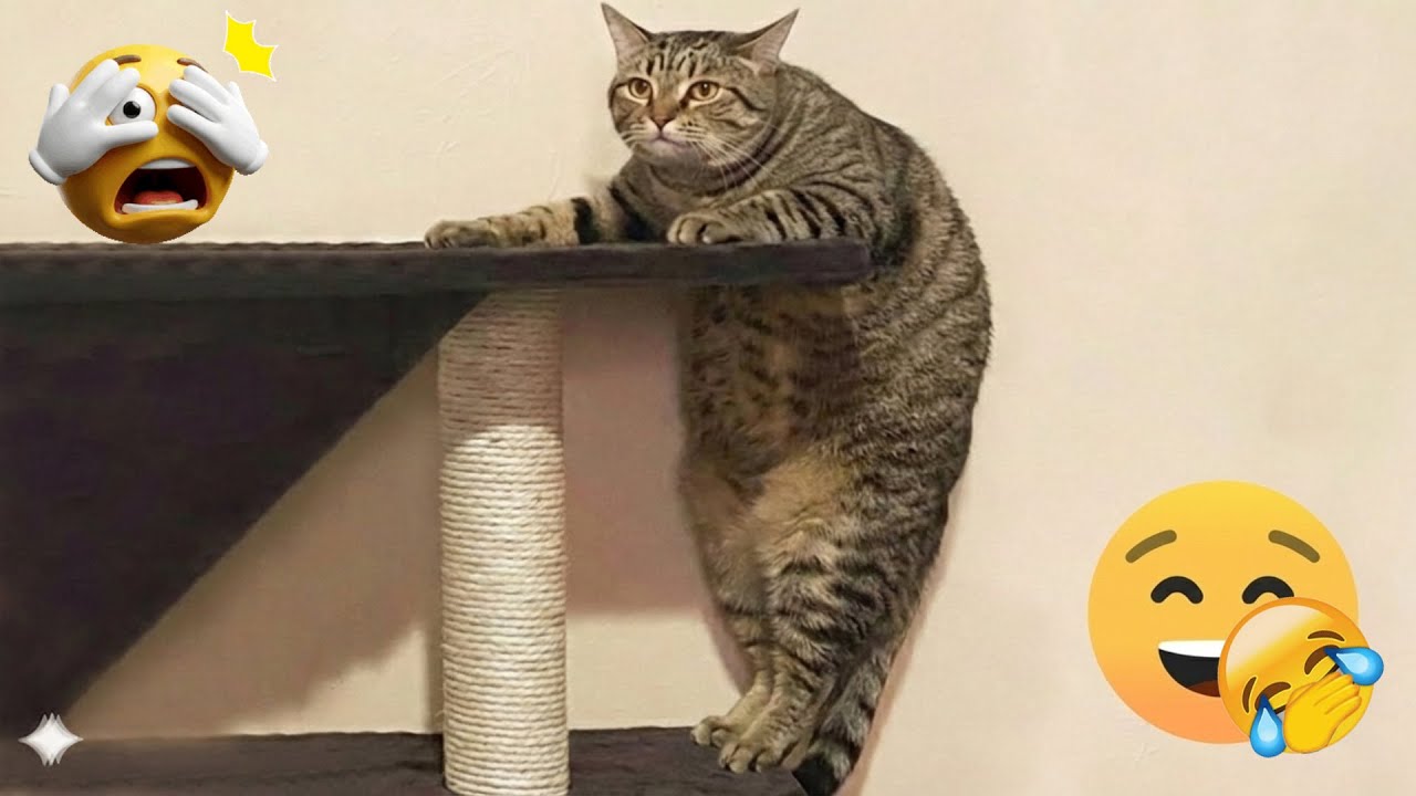 You Laugh You Lose 💀 Funniest Cats and Dogs 2026 🐾💜 Part 20