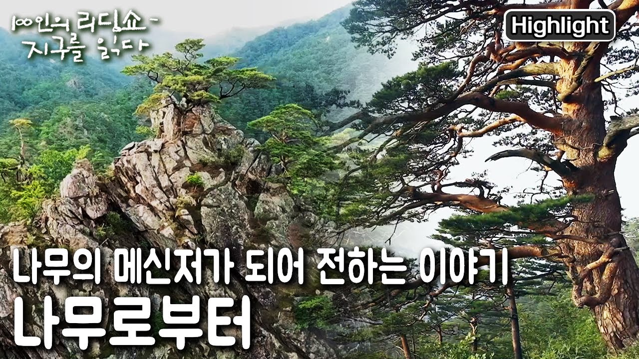 [100인의 리딩쇼 - 지구를 읽다] 지구라는 행성에서 인간보다 먼저 살아온 오래된 주인인 나무. 나무들의 세계에 찾아가 나무로부터 배우는 시간. (KBS 20221001 방송)
